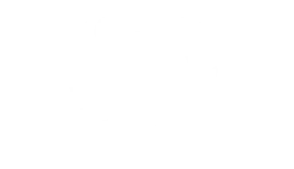 Rally in Rome Logo White No Text